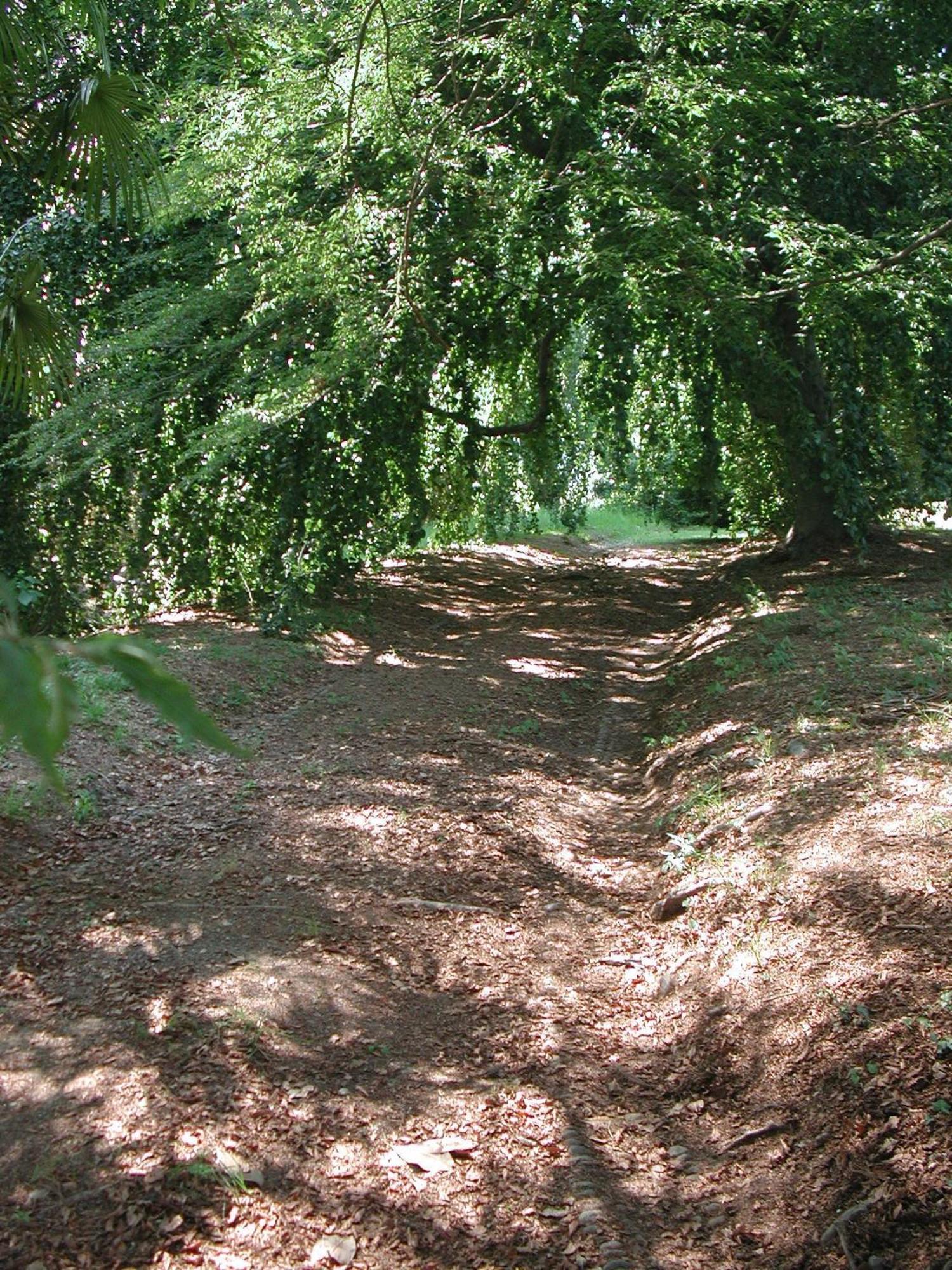 Villa Cernigliaro Dimora Storica Sordevolo Exterior foto