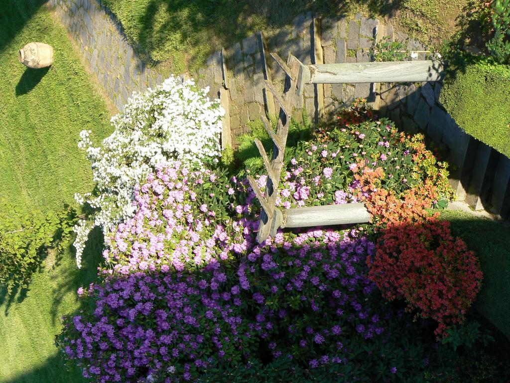 B&B Villa Cernigliaro Dimora Storica Sordevolo Exterior foto